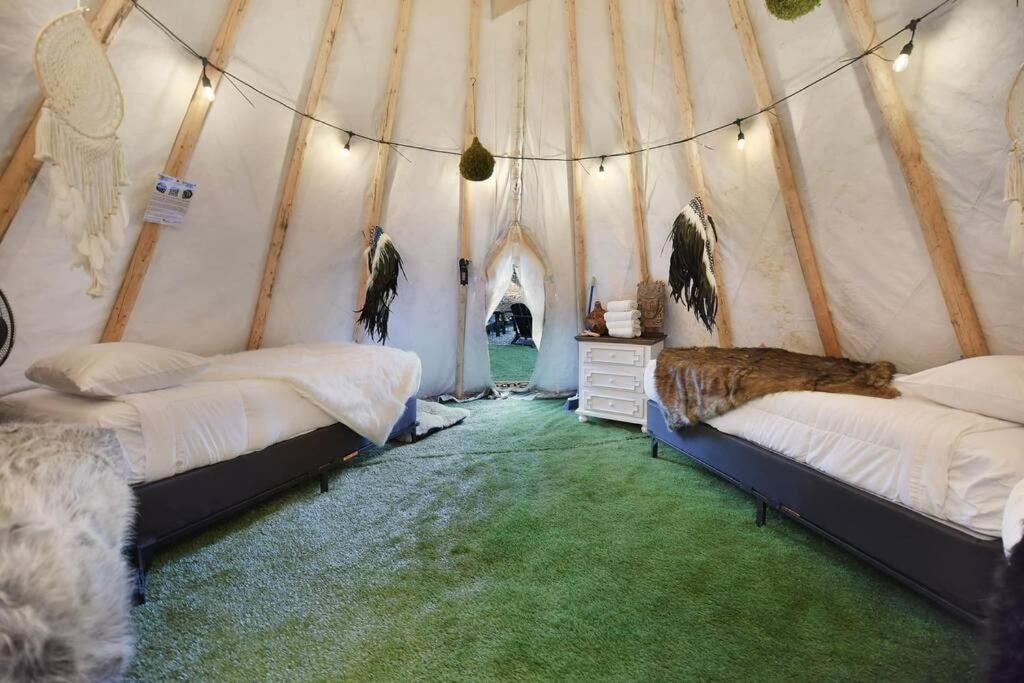 Enchanted Forest Cabin And Teepee! Lights & Laser Show! Private Hot Tub! Unique Stay! Sevierville Exteriör bild